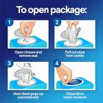 Clorox Fresh Scent Disinfecting Wipes - 75 Count