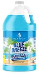Bastion Blue Breeze Antibacterial Foaming Hand Soap