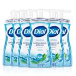 Dial Antibacterial Foaming Hand Wash - Spring Water