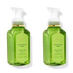Eucalyptus Mint Gentle Foaming Hand Soap (2-Pack)