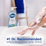 Dial Antibacterial Foaming Hand Wash - Spring Water