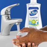 Dial Liquid Antibacterial Soap, White Tea & Vitamin E