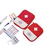 Mini First Aid Kit for Travel and Emergencies