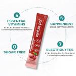 Venture Pal Sugar Free Electrolyte Drink Mix Packets