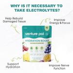 Venture Pal Sugar Free Electrolyte Drink Mix Packets
