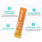 Venture Pal Sugar-Free Electrolyte Powder Packets