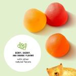 Mama Bear Organic Kids Multivitamin Gummies, 60 Count