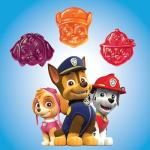 Paw Patrol Multivitamin Gummies for Kids, 60 Count