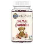 Kids Multi Gummies, Organic Fruit Flavor, 120 Count