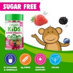 Kid-Friendly Sugar Free Multivitamin Gummies, 60 Count