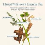 Natural Mosquito Repellent Candle with Essential Oils