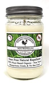 80-Hour Citronella Candle for Outdoor Insect Repellent