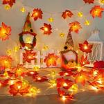 Fall Pumpkin Light Garland with Timer - 2 Pack