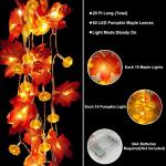 Fall Pumpkin Light Garland with Timer - 2 Pack