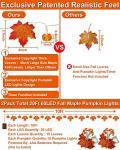 Fall Pumpkin Light Garland with Timer - 2 Pack