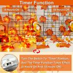 Fall Pumpkin Light Garland with Timer - 2 Pack