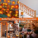 Fall Pumpkin Light Garland with Timer - 2 Pack