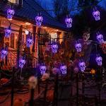 RECESKY 70 LED Purple Skull String Lights