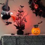 Halloween Cat Pumpkin Cookie Jar - Fun Storage