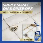 30 SECONDS Pro Mold and Mildew Stain Remover | Scrub Free | Brighter Results Instantly | Ready To Use | 32 Fl. Oz.