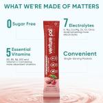 Venture Pal Sugar Free Electrolyte Drink Mix Packets