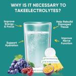 Venture Pal Sugar Free Electrolyte Drink Mix Packets