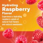 Emergen-C Hydration+ Raspberry Splash Drink Mix Pack
