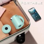 Portable Stainless Steel Electric Kettle, 0.5L