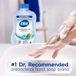 Dial Spring Water Antibacterial Hand Wash Refill, 30 oz