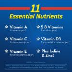 Paw Patrol Multivitamin Gummies for Kids, 60 Count