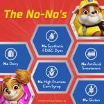 Paw Patrol Multivitamin Gummies for Kids, 60 Count