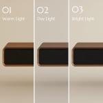 Minimalist Floating TV Stand with 3 Drawers