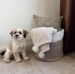 Large Cotton Rope Basket for Organizing Toys & Blankets