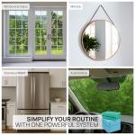 Claro Microfiber Glass Cleaning Cloths | Streak Free Windows & Mirrors | Lint Free Towels | Car Windows Wipes | Polishing | Machine Washable (8 Pack)