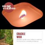 Coleman Pine Scented Citronella Candle with Wooden Crackle Wick - 6 oz Tin