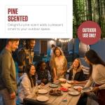 Coleman Pine Scented Citronella Candle with Wooden Crackle Wick - 6 oz Tin