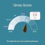 Coop Home Goods Cool Side Pillowcase, Queen Size Cooling Pillow Case for Hot Sleepers, Two-Sided Pillow Covers, Cozy Side & Cool Side, Ultra Soft Lulltra Cool Technology