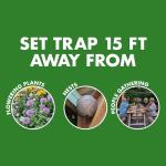 Spectracide Wasp & Hornet Trap Refill, Lure Refill for Spectracide Wasp & Hornet Trap, 1 Count