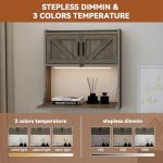 Gray Wall Mounted Desk with LED Light