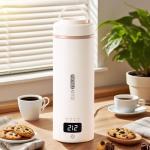 Mini Portable Electric Kettle with Temperature Settings