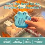 WiseFresh 30 Packs 5 Gram Ethylene Gas Absorber Packet, Vegetable & Fruit Fresh Produce Protector, Food Freshness Extender, Fresh Fruit Preserver, Vegetable Saver