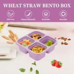 5 Pack Compartment Bento Lunch Box Set