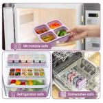 5 Pack Compartment Bento Lunch Box Set