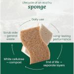 ecoTru 6 Pack Natural Kitchen Sponges, Compostable White Cellulose & Organic Coconut Scrubber Sponge for Washing Dishes, Kind Eco Friendly Non-Scratch & Biodegradable Dish Sponges