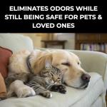 Powerful Fresh Linen Scented Fabric & Upholstery Deodorizer & Freshener Powder. Odor Eliminator,Pet Safe, Multipurpose formula. Use for furniture,carpet,rug,mattresses