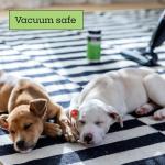 Pet Life Unlimited Carpet Refresher Powder, Carpet Deodorizer Powder Pet Safe - Carpet Powder Pet Odor Eliminator for Carpet with Plant-Based Juniper Leaf Scent - Made in the USA - 16oz (Pack of 1)