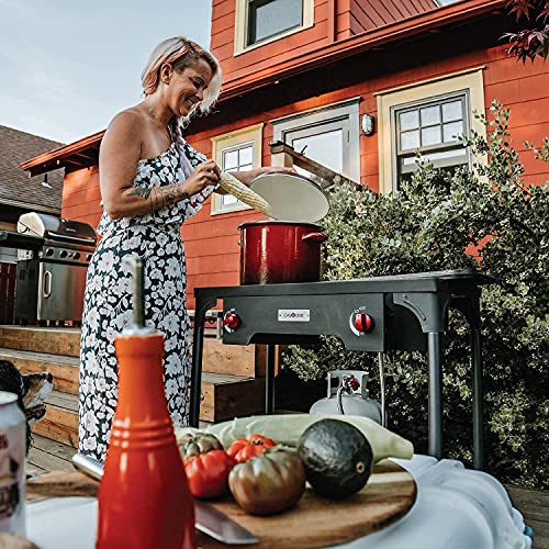 Portable Two-Burner Camping Stove with Adjustable Pressure