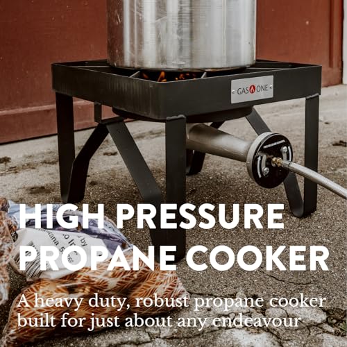 Outdoor Stove Propane Cooker with 0-20Psi Regulator