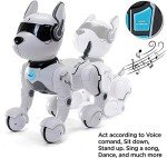 Interactive Rechargeable Robot Dog for Kids