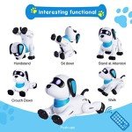 Programmable Remote Control Robot Dog Toy for Kids